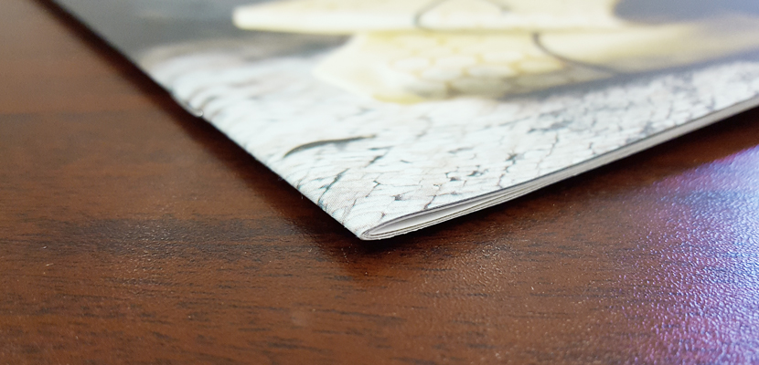 Saddle Stitched Books
